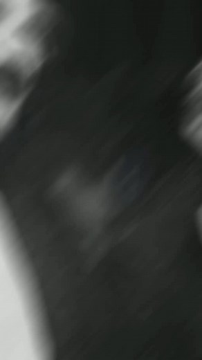 Frases Filosóficas de Albert Einstein sobre la Estupidez Humana