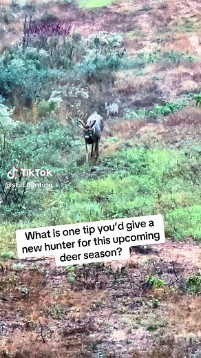 Let us know! #STILLhunting #STILLhuntingfarms #deerhunting #fyp #foryou #huntinglife #deerseason #turkeyseason #hunting #bigbucks #turkeyhunting #georgia #outdoors #country #wildlife #nature #godisgood