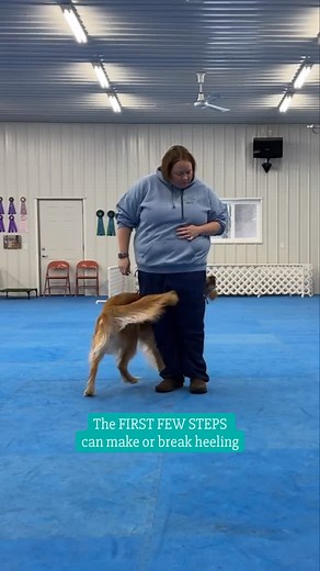 Those first steps are crucial! 👣🐾 If your dog starts distracted, the whole pattern can feel like a scramble… but when they step off focused, confident, and connected? Everything falls into place. 🙌 📅 Starts this week: Forward! Mastering the First Steps of Heeling �In this workshop, you’ll learn exactly how to build that rock-solid start using smart reward placement, targeted reinforcement cues, and fun games that create clarity before you ever take that first step. We’ll explore multiple tec