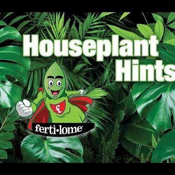 ferti-lome Houseplant Hints