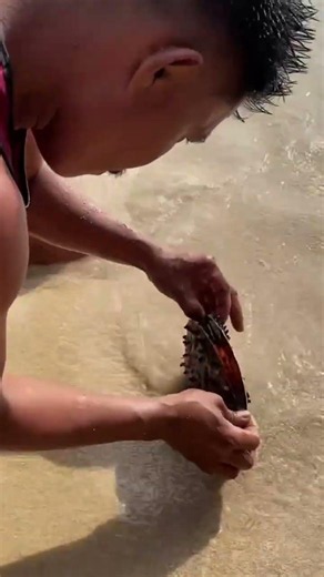 Amazing Sea Shell Opening | What Was Hidden Inside? 🐚😱