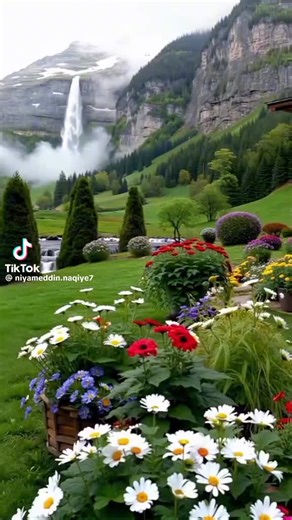 azimov (@neymet_892)’s videos with original sound - azimov