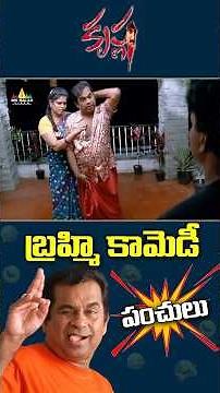 బ్రహ్మి కామెడీ పంచులు 😂😁#Krishna | #Brahmanandam | #shorts | #ytshorts ‪@SriBalajiMovies‬