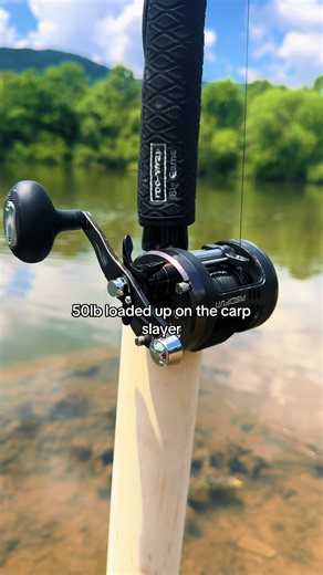 50lb Loaded Up on the Carp Slayer — Carp & Catfish Fishing Tips