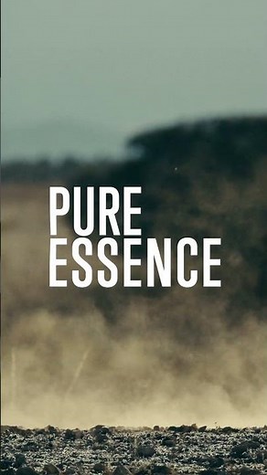 Feather-light. Lightning-fast. Designed to take you further. Get ready to meet new Alma. Tomorrow.