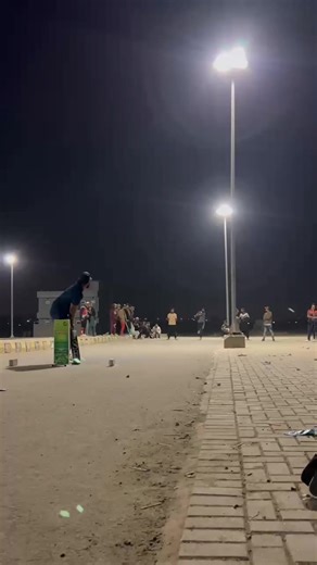 Guess the Speed of the Ball in Cricket!