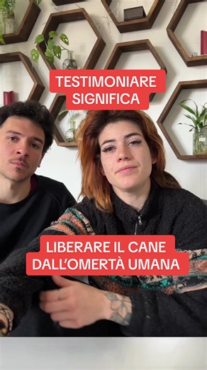Testimoniare nell’interesse del cane… #cinofiliaitaliana #devilslair #folcolandia #cane