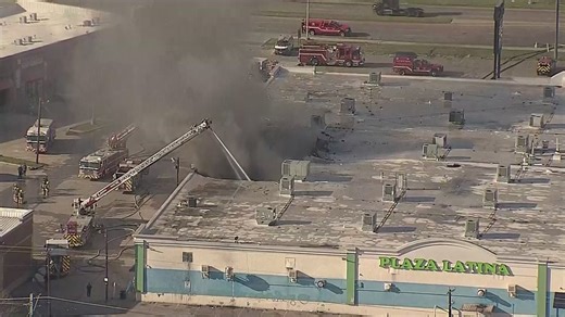 Hundreds of animals killed, roof partially collapses in 2-alarm Plaza Latina fire