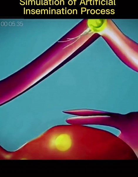 How many weeks are you pregnant? #pregnant #fetus #artificial #insemination #foryou #fypシ