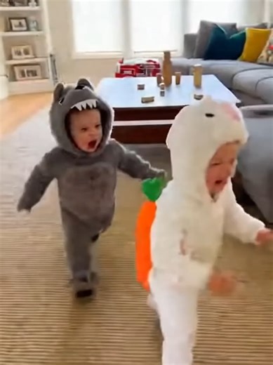 One boy in a rabbit costume, the other boy in a wolf costume