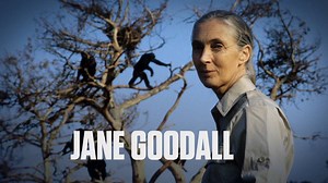Dr. Jane Goodall revolutionized science by becoming one of the first women to study primates. This is HISTORY | HERstory, as told by Kristin Davis. In collabortion with Biography and @Lifetime. | HISTORY