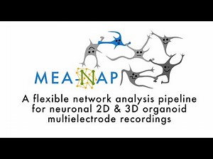 MEA-NAP: A network analysis pipeline for neuronal 2D and 3D organoid multielectrode recordings