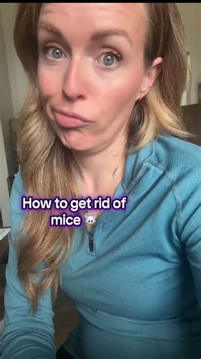 Jessica on Instagram: "Comment "link" to have me send the product link to you! Make sure you're following BEFORE requesting it or it might not let me send it to you! You're hearing scratching in your walls or finding little surprises under the sink… this humane mouse trap is the only method that actually worked fast without killing anything. Here’s how to get rid of mice the easy, mess-free way. #howtogetridofmice #HowToGetRidOfMice #humaneMouseTrap #pestControlTips #rodentremoval"