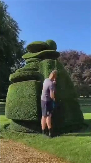 Grasss smiot cuting is grass #mha #shortvideo