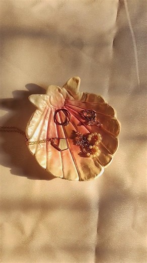 DIY Seashell jewellery tray 🐚✨_#diy #shorts