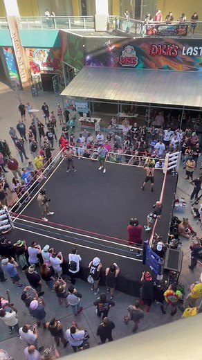 Blindfolded shock collar fight #skankfest #skankfestvegas #vegas