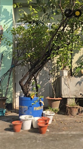 একটুখানি Grammar:- Ep 02 | English Ostad