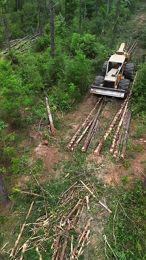 32K views · 401 reactions | This Tigercat 630E skidder is a unbelievable machine! | Daniel Gray | Facebook