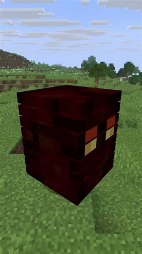 CRAZY Minecraft Frog Facts! #minecraft #survival