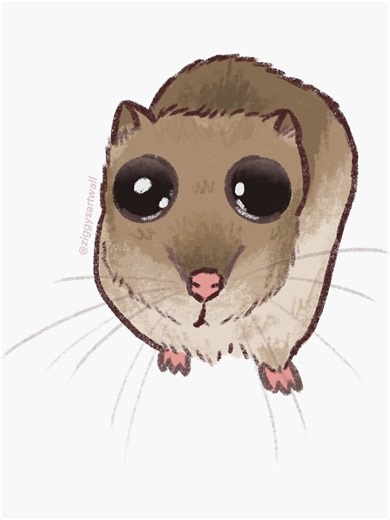 A Normal Day in Zero Dam