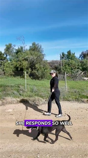 Born in a Shelter 🐾 Ready for Love ❤️