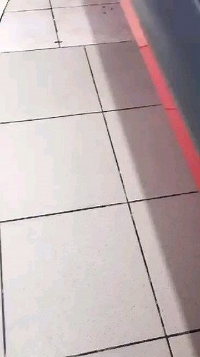 Seymour Butts. on Instagram