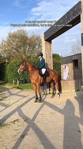Understanding Equestrian Identity and Roles