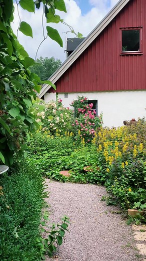 Visit Lund på TikTok