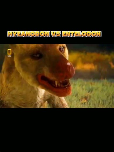 hyeanodon vs entelodon