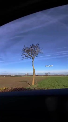 ‏#بعلبكية_يا_خال #نعلو_ولا_يُعلى_علينا_🖤🦅 #صيد#زرزور#سمن