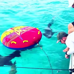 Traveling Buzz on Reels