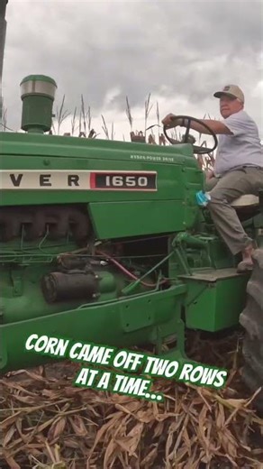 “Against the Wind: Vintage Corn Harvest at Half Century of Progress 🌽🚜 #Shorts”