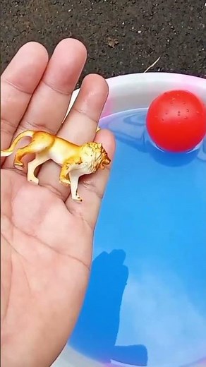 Very Satisfying Reverse Video Lion King