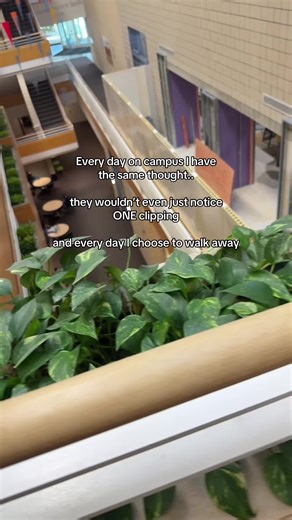 How to Propagate Pathos Clippings Successfully