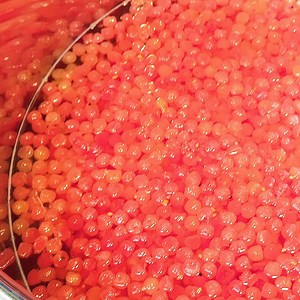 251K views · 347 reactions | This is how Glow Recipe's popular Watermelon Glow Sleeping Mask is made. | Insider | Facebook