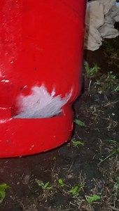 58K views · 158 reactions | A blue cap gas tank for all those who asking … Miss lady ( mummy ) gone by the hospital and heard from sick people who was they waiting to see doctors that some of them their since six hours so she ask 2 nurse for a little assistance and each one of them pass her straight 廊and she cuss them up and come home crying …..Will make a live just now okay…..￼￼ | Nekisha Dionne Byron-I | Facebook