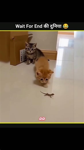 लोगों के Funny 😂 कारनामे देखने के लिए Ready हो जाओ || #funny #funnyfails #shorts