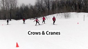 Crows & Cranes - Nordic Ski Lab