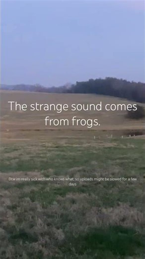 Frog call. #frog #funnyanimal #animals #nature #undertale