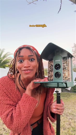 Attracting Mockingbirds: The Effect of a New Feeder