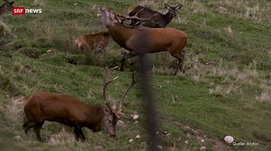 Landsgemeinde Appenzell Innerrhoden stimmt gegen Wildruhezonen