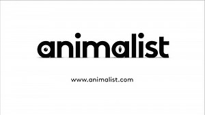 Animalist TV Spot, 'News'