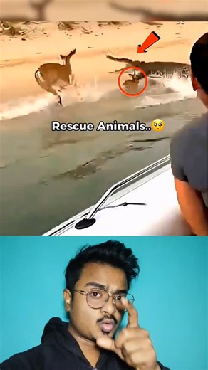 Viral With Roni on Instagram: "lucky animal babies #shorts #riddles"