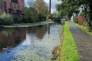Rochdale Canal | Fishery Guide