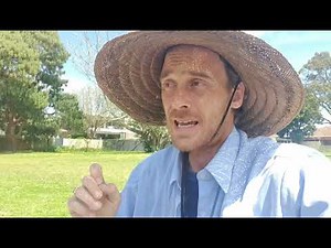 Fishing 🎣 EASY method to catch Mullet for bait.