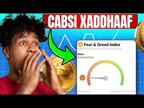 Bitcoin Could Reach $90K as Institutional Demand and ETF Flows Surge🔥
