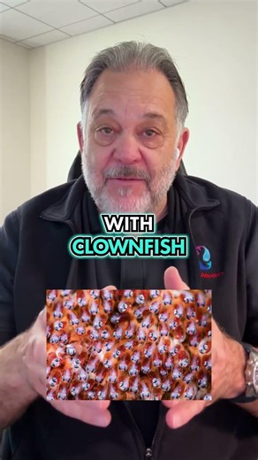 Clownfish Biology Correction