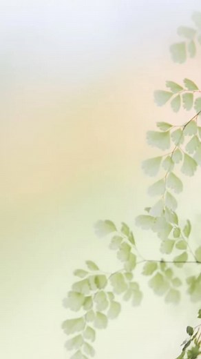 There is still time to purchase your Springtime Sip and Stroll tickets for this Sunday, March 24th! Go to tickets.cflar.org to book them now. We hope to see you there! #teamcfar #sipandstroll #event #nonprofit #centralflorida #florida #stcloudfl #bigcats #conservation #comingevents #fundraiser | Central Florida Animal Reserve