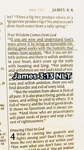 6.2K views · 99 reactions | True Wisdom Comes from God If you are wise and understand God’s ways, prove it by living an honorable life, doing good works with the humility that comes from wisdom. James 3:13 New Living Translation #bibleverseoftheday #bibleverse #bible #christian #christianity #wisdom #christianliving #God #jesus #faith | Peter Pizzuto | Facebook