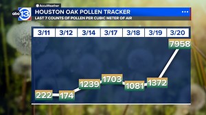 Houston oak pollen count breaks record for month of March